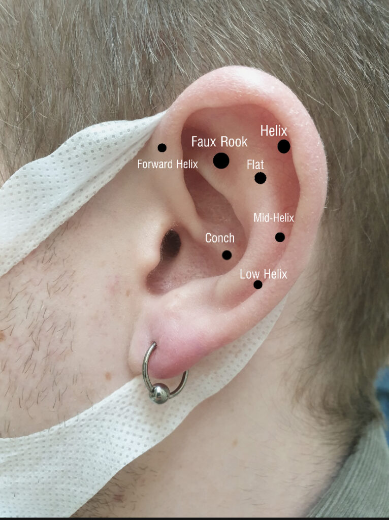 Introduction To: Cartilage Piercings Rogue Piercing